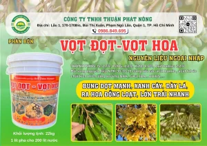 VỌT ĐỌT- VỌT HOA