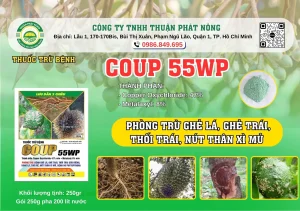 COUP 55WP