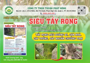 SIÊU TẨY RONG