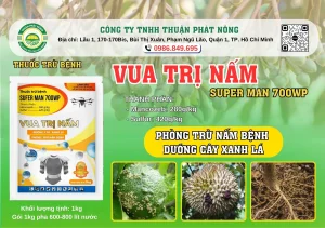 VUA TRỊ NẤM